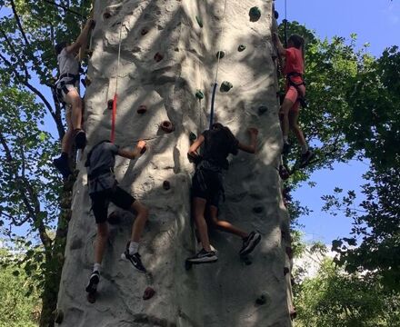 IMG 0832