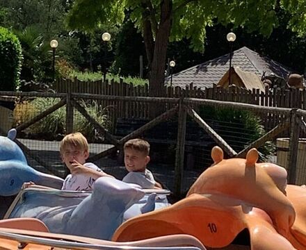 IMG 0877