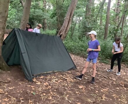 IMG 0932